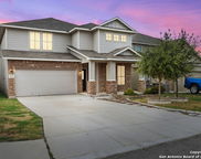 10230 Midsummer Meadow, Converse image