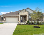 1182 Catnip, New Braunfels image