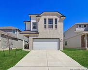 2455 Pink Pearl, San Antonio image