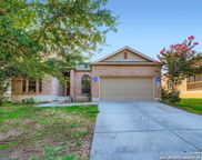 1938 Spotted Owl, New Braunfels image