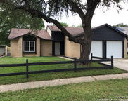 11009 Forest Crown, Live Oak image