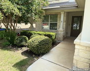 15530 Gray Catbird, San Antonio image
