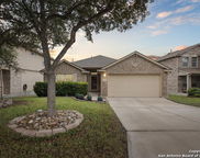 8735 Redbud Woods, San Antonio image
