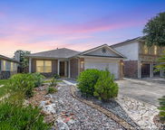 20410 Blue Trinity, San Antonio image