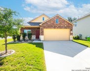 1202 Petunia Bluff, San Antonio image
