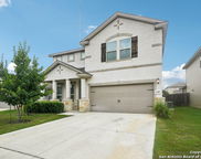 11687 Tribute Oaks, San Antonio image