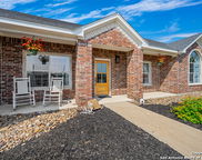 353 Warbler, Spring Branch image