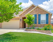 12918 Texas Gold, San Antonio image