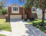 14004 Roslin, Live Oak image