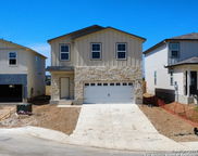 2539 Dry Moss Way, San Antonio image