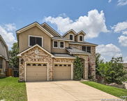 1406 Osprey Heights, San Antonio image