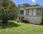 14107 Moss Farm, San Antonio image