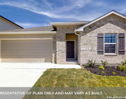 331 Bluetick Trail, Seguin image