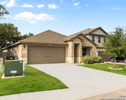 10226 Amaryllis, Boerne image
