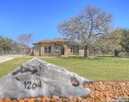 1264 Merlot, New Braunfels image