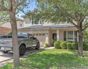 12115 Redbud Leaf, San Antonio image