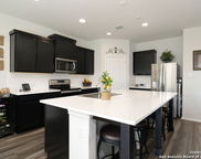 14488 Gecko, San Antonio image