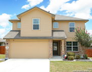 720 Red Crossbill, San Antonio image