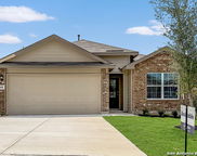 268 Squacco Heron, San Antonio image