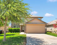 15442 Cooks Petrel, San Antonio image