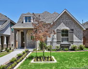 1818 Nettletree, New Braunfels image