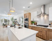 719 E Locust St Unit 2111, San Antonio image