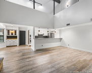 4526 Honey Locust Woods, San Antonio image