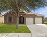 11005 Almond Wood, Live Oak image