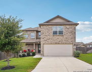 915 Red Merganser, San Antonio image