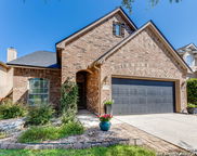 23131 Airedale, San Antonio image