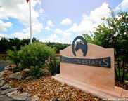 154 N Stallion Estates, Spring Branch image