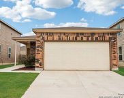 237 Texas Thistle, New Braunfels image