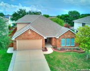 9910 Shetland Gate, San Antonio image