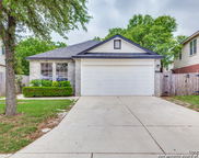 10246 Roseangel, Helotes image