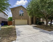 229 Kensington, Cibolo image