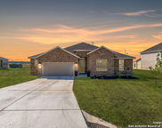 117 Willow Oak Trail, Floresville image