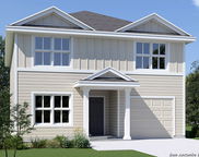 1226 Andean Emerald, San Antonio image