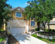 3231 Spider Lily, San Antonio image