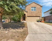 1944 Eastern Finch, New Braunfels image