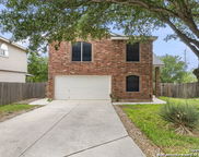 1339 Tiger Path, San Antonio image