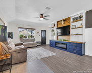 1920 Grey Wagtail, New Braunfels image