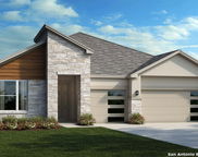 1214 Catnip, New Braunfels image