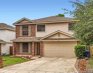 10411 Tiger Paw, San Antonio image