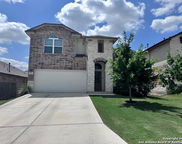 9311 Bicknell Sedge, San Antonio image