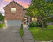25702 Coleus, San Antonio image