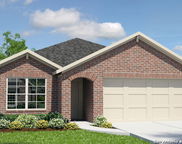 261 Squacco Heron, San Antonio image