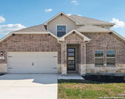 132 Shelton Pass, Cibolo image