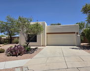 8898 E Desert Lavender, Tucson image