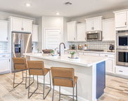 10127 N Black Dalea, Marana image