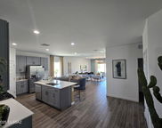 14035 E Canidae, Vail image